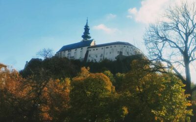 Záujem o nehnuteľnosti rastie: Dosiahli sme v Nitre cenové dno?