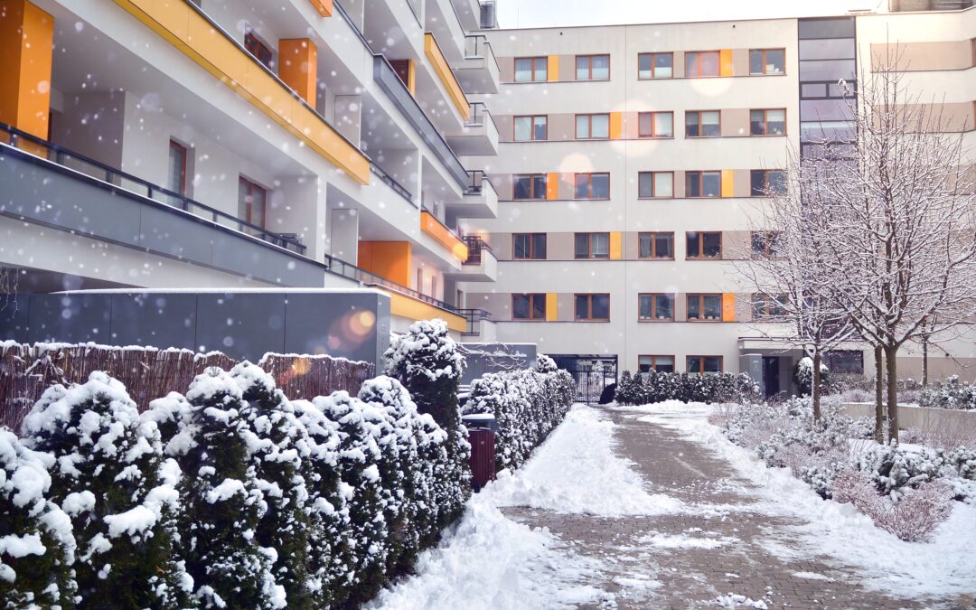 Obhliadka bytu: Všetko, čo treba vedieť o novom bývaní